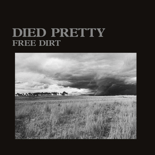 Died Pretty - Free Dirt (2025 Repress - 100 Copies) new LP