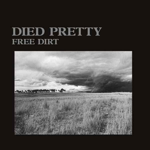 Died Pretty - Free Dirt (2025 Repress - 100 Copies) new LP